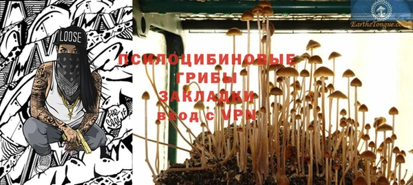 2c-b Лагань