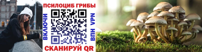 Галлюциногенные грибы Psilocybe  как найти   Волгодонск 