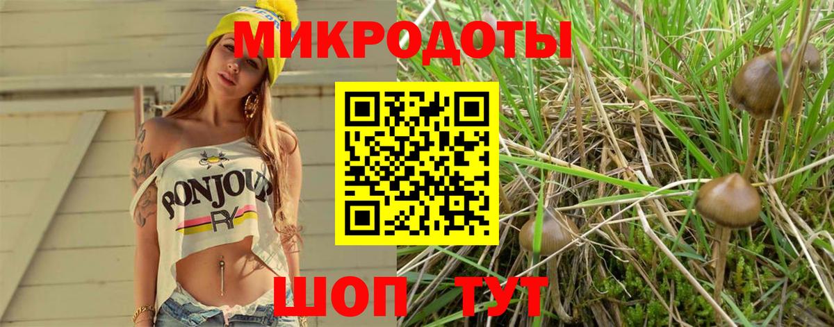 Галлюциногенные грибы GOLDEN TEACHER Волгодонск