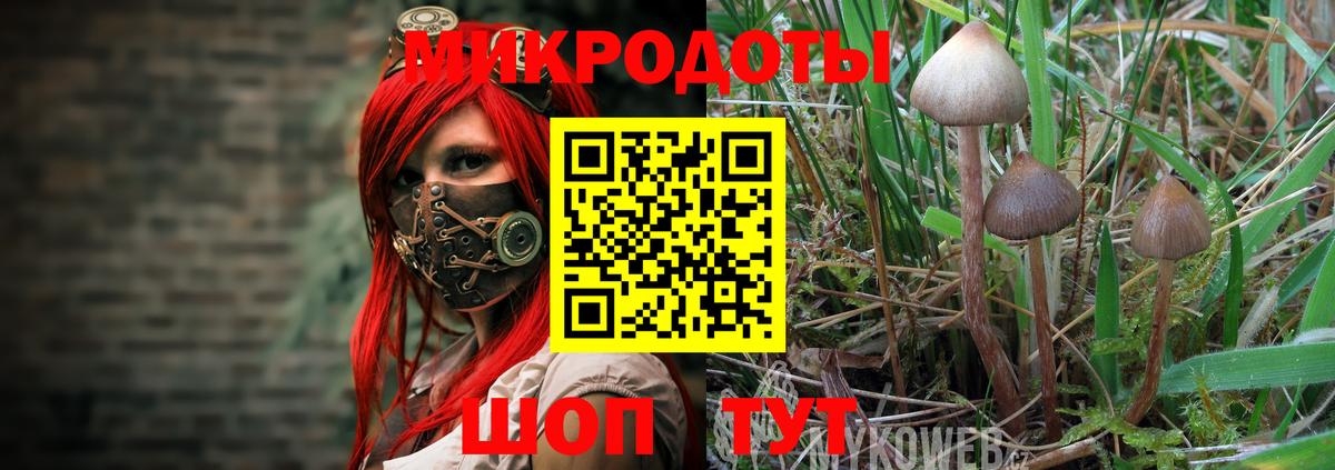 Волгодонск  Галлюциногенные грибы Cubensis  Вход с VPN 